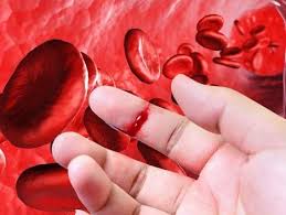 17 АПРЕЛЯ «ВСЕМИРНЫЙ ДЕНЬ ГЕМОФИЛИИ»